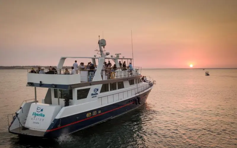 Sunset Boat Cruise · Sibarita Master