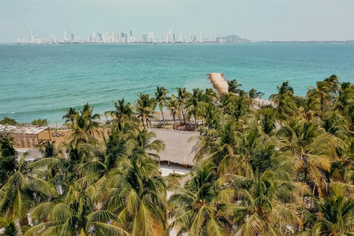 Plan Paraíso - Imagen 1